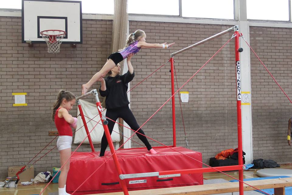 Gymnastics Image